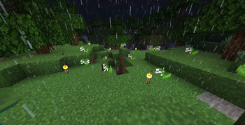 Features: Better Weather, New Torches, Better Cross, Fast Better Grass  
Environment: modded