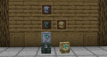 Backpack Display