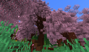 Cherry campsite