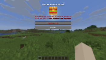 Remove Head Confirmation Screen