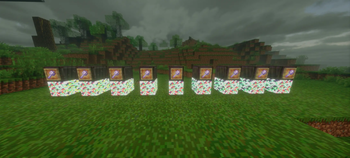 9 different maces