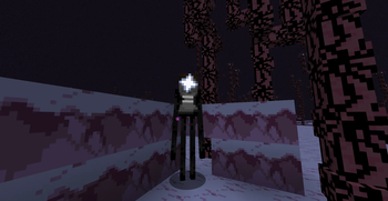 Enderman.
