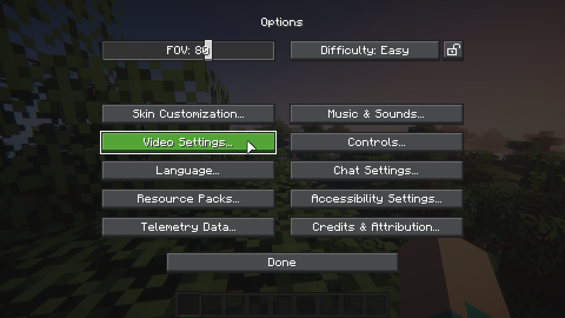 Options (Minecraft Settings)