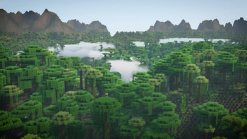 Rainforest Overview