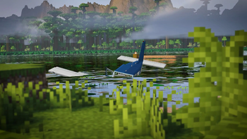 Landed through planecrash