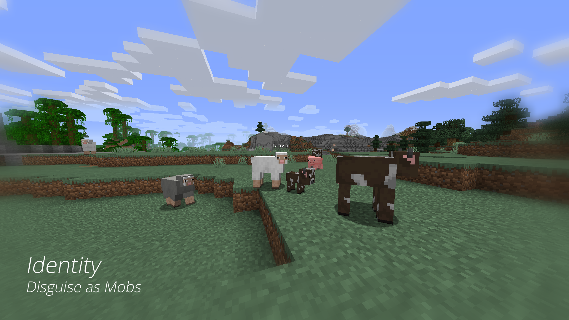 Draylar, the original author of the mod, disguised as a sheep among other mobs.