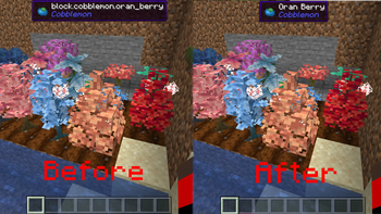 Before and After WTBIT