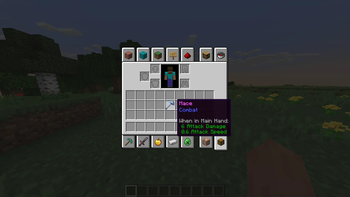 How It Looks In The Inventory 