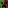 Biome Mobs
