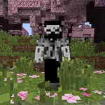 Revuxor