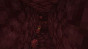The nether!