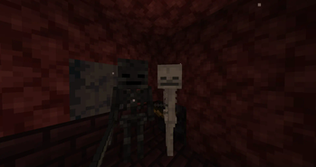 Skeleton Sized Wither Skeleton