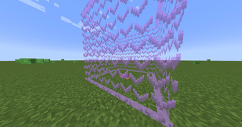 Gravity field