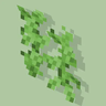 Retextured Vine