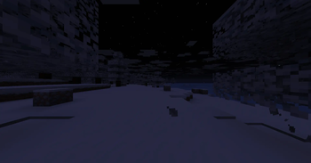 Winter Night