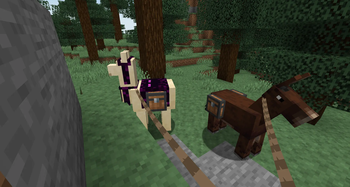 Pack Animals with Chests
