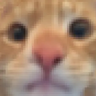 TeoCats