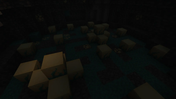 Regular Spider Cluster