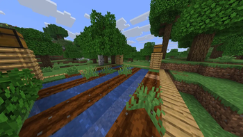 Farm - Structure