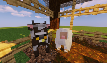 Cow n' sheep