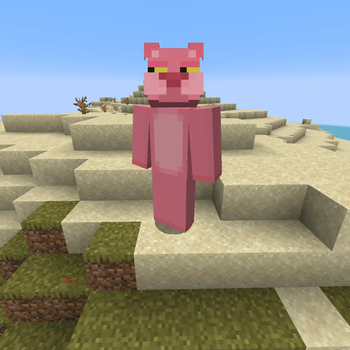 Large Player