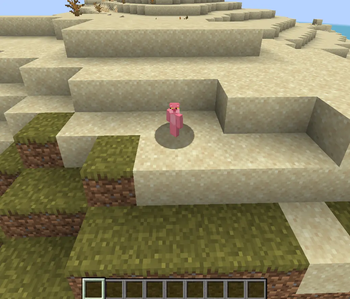 Small Player