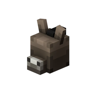 Donkey