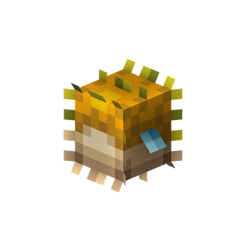 Pufferfish