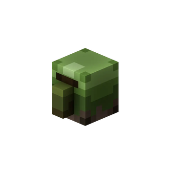 Zombie Villager