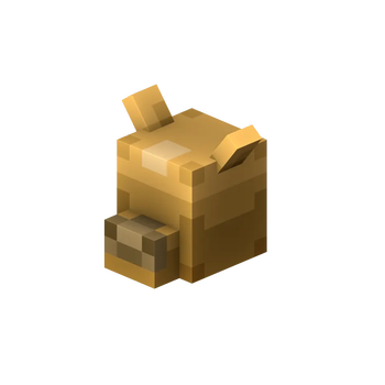 Camel