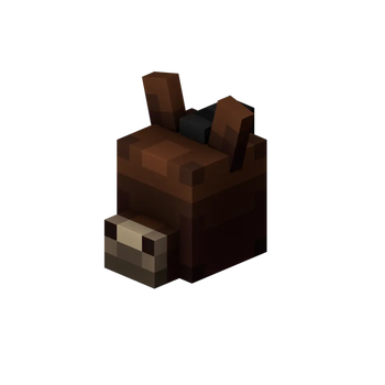 Mule