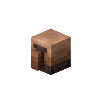 Villager