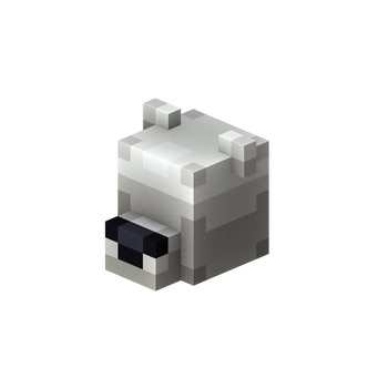 Polar Bear