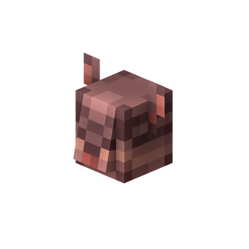 Armadillo