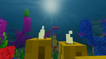 Underwater