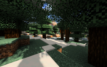 Snowy Woods