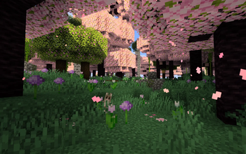 Cinematic Pic 1