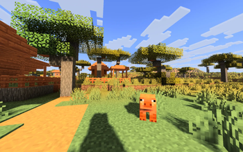 Village