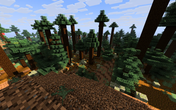 Taiga Biome