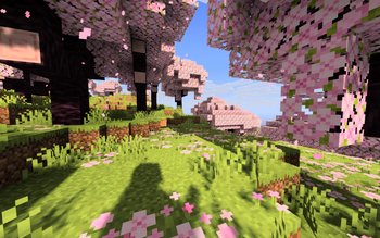 Cherry Blossom
