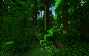 Jungle Biome