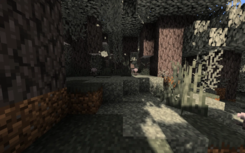 Pale Garden