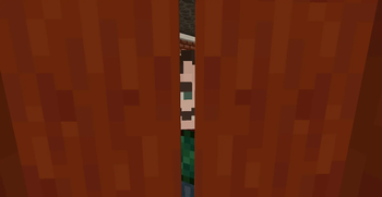Neighbor Peeking