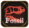 Feur Extension Fossil