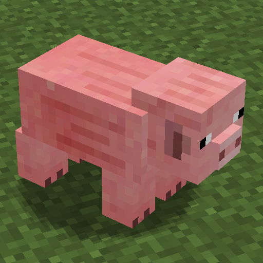 pig