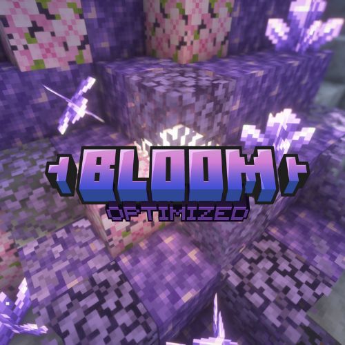 Bloom OPTIMISED