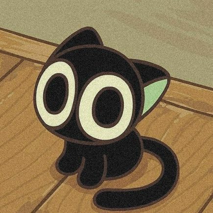 Optimizer Cat