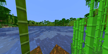 Jungle Lake