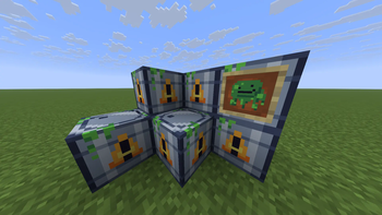 Stuff