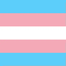 Trans XP Bar